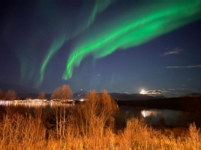 Aurora North